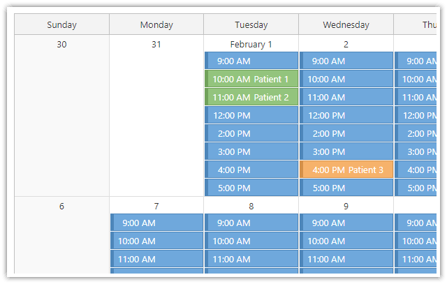 ASP.NET Core (.NET 6) Doctor Appointment Scheduling UI