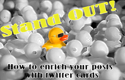 Stand out from the crowd with twitter cards