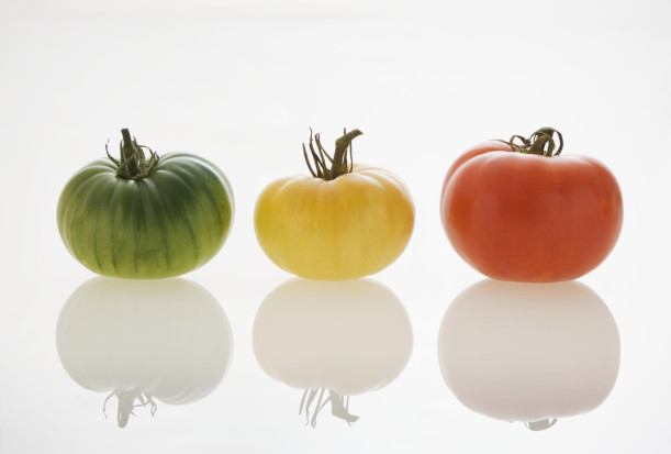 Three Tomatoes with Shadows --- Image by © Royalty-Free/Corbis
