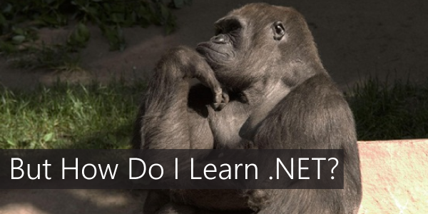 how-do-i-learn-dotnet