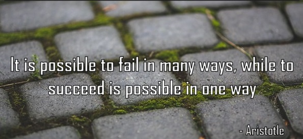 It is possible to fail in many ways...while to succeed is possible only      in one way