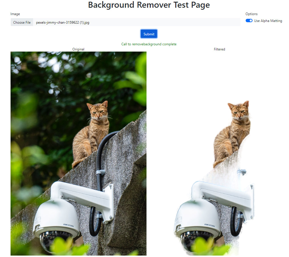 Background Remover test.html page